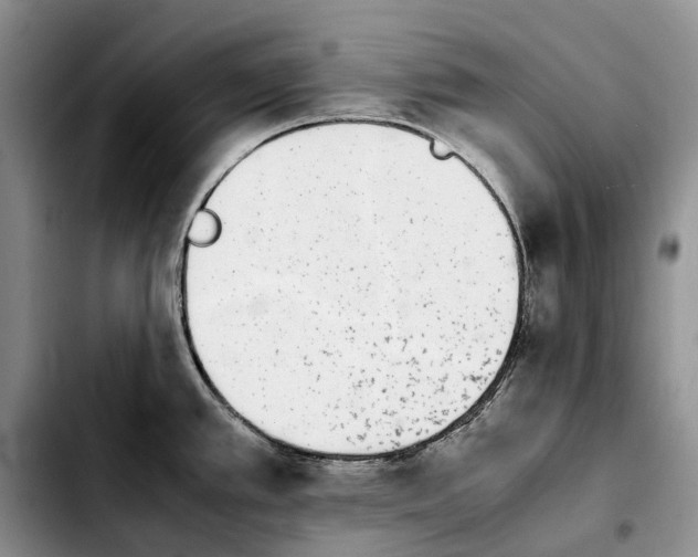 X0000103941389200810101406