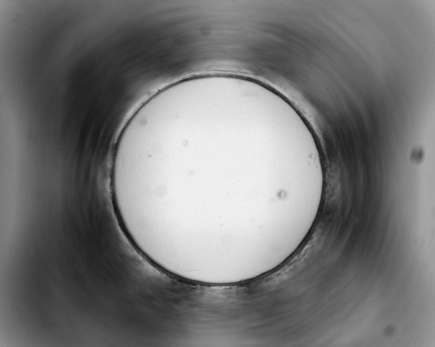 X0000103941390200810101406