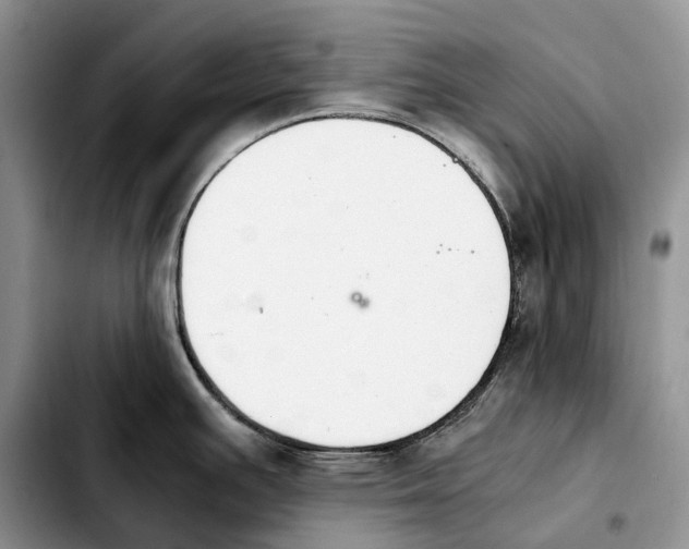 X0000103941391200810101406