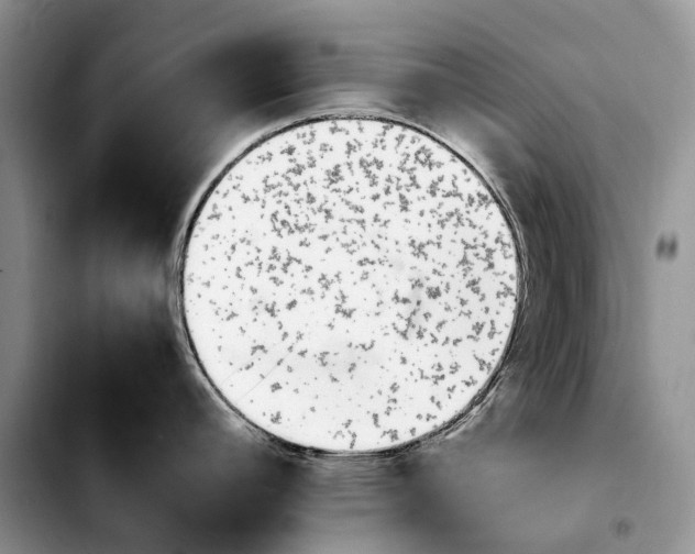 X0000103941392200810101406