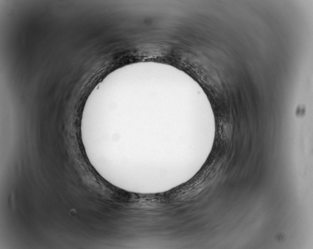 X0000103941393200810101405