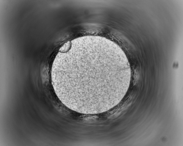 X0000103941394200810101405