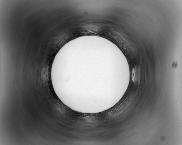 X0000103941395200810101405