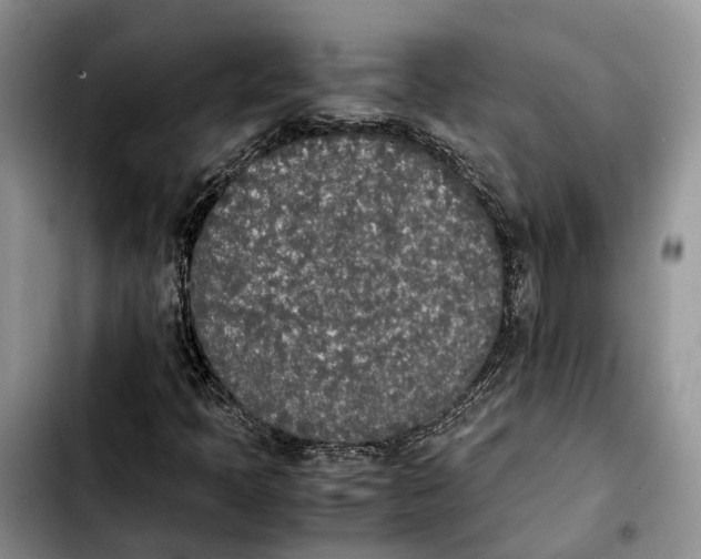 X0000103941397200810101405