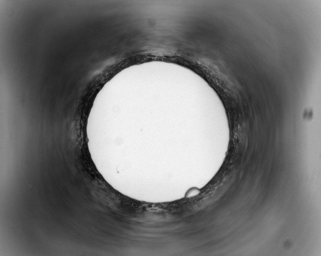 X0000103941398200810101405