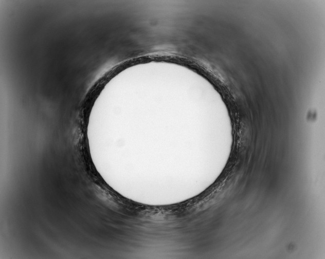 X0000103941400200810101406