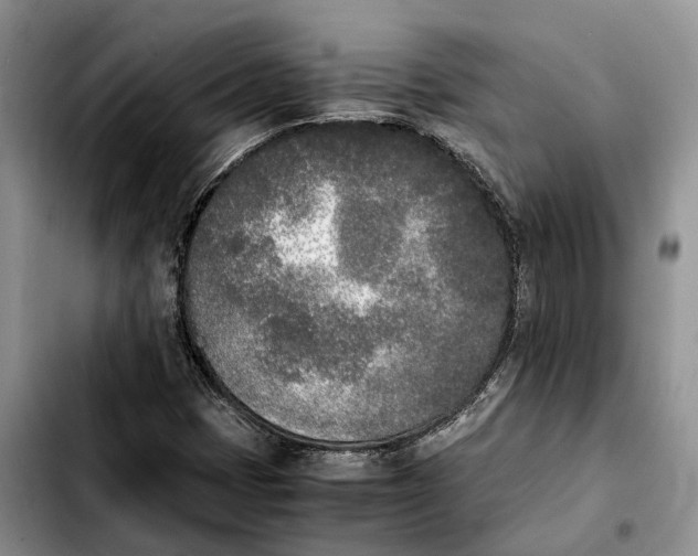 X0000103941401200810101406