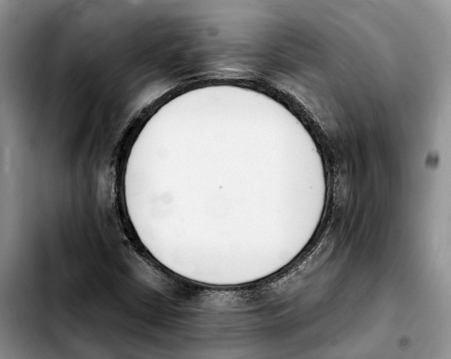 X0000103941402200810101406