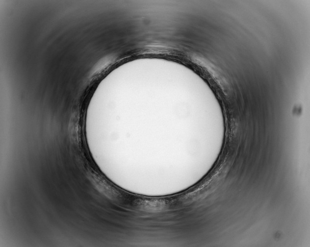 X0000103941403200810101406