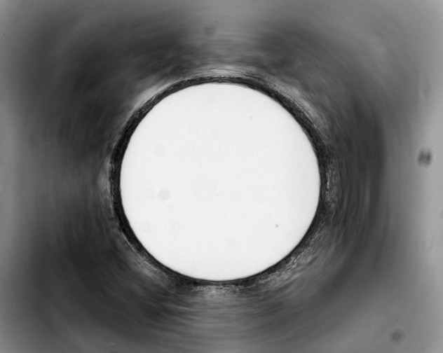 X0000103941404200810101406