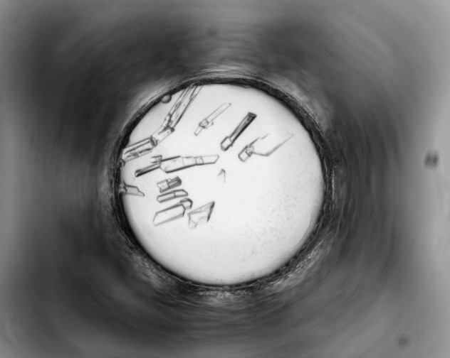 X0000103941405200810101406