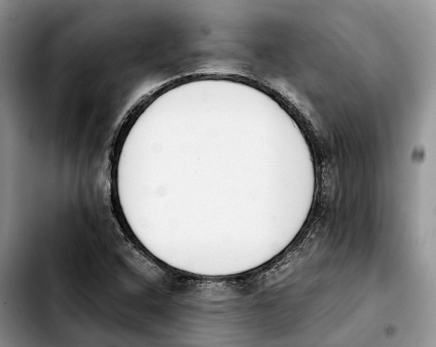 X0000103941408200810101406