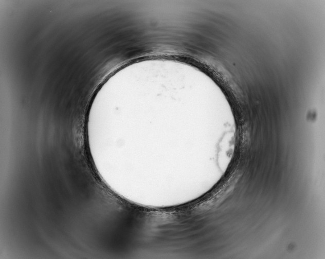 X0000103941409200810101406