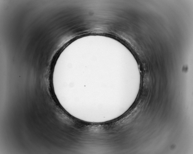 X0000103941410200810101406