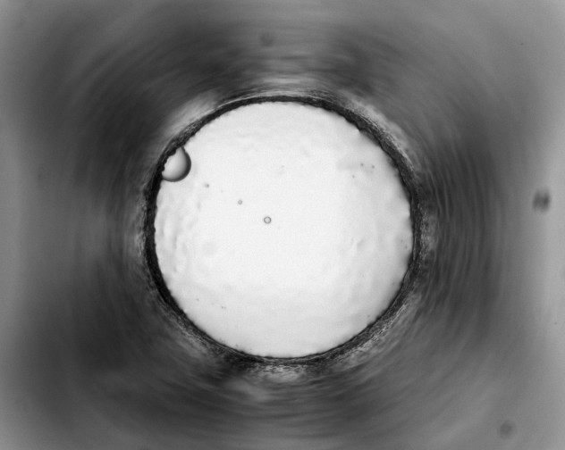 X0000103941411200810101406