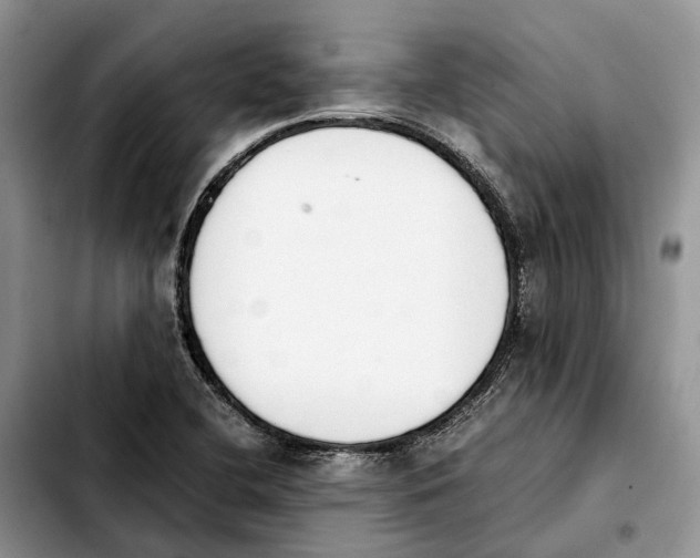 X0000103941412200810101406