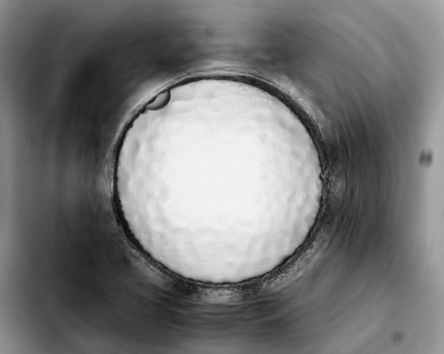 X0000103941413200810101406