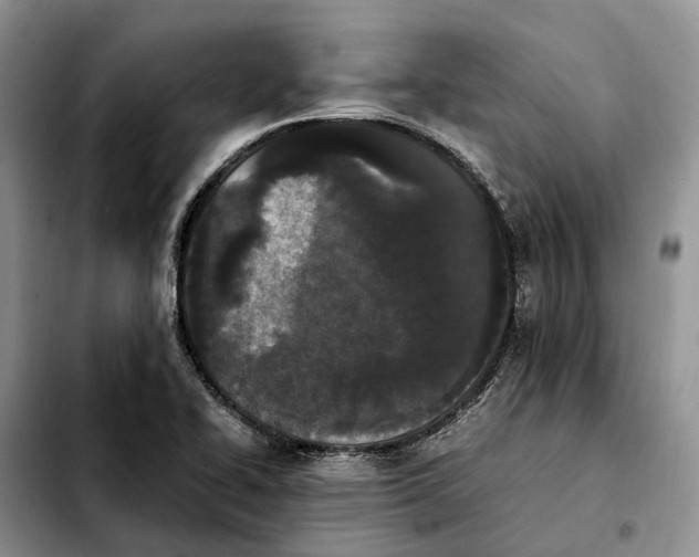 X0000103941414200810101406