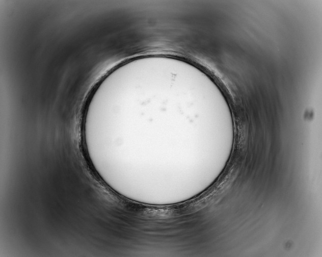 X0000103941415200810101406