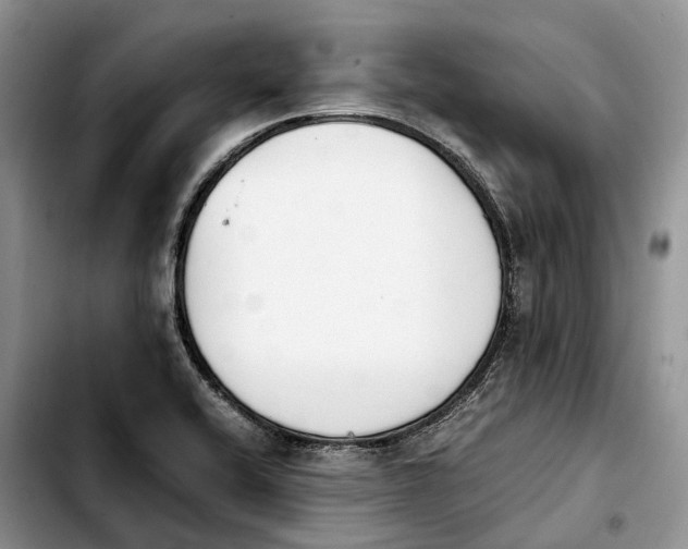 X0000103941416200810101406