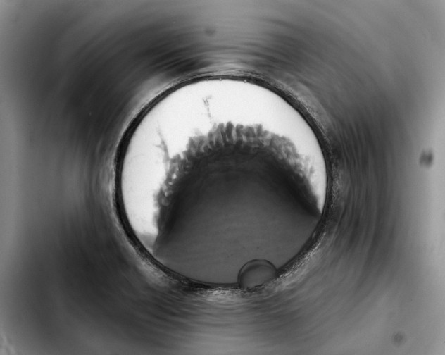 X0000103941418200810101406