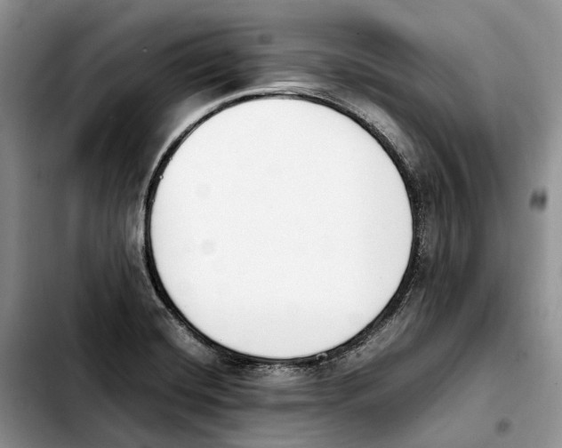 X0000103941420200810101406