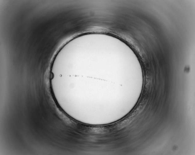 X0000103941421200810101406