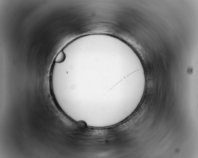 X0000103941423200810101406