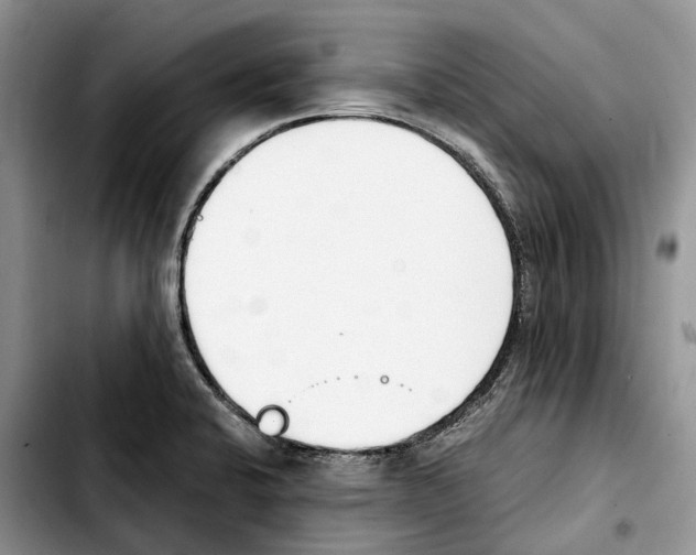 X0000103941424200810101406