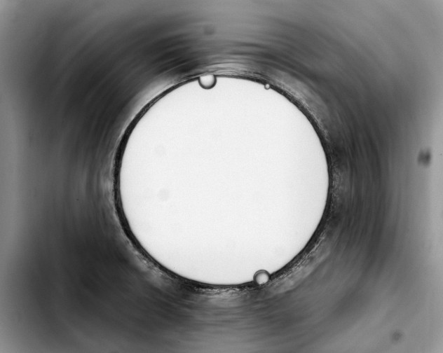 X0000103941426200810101406