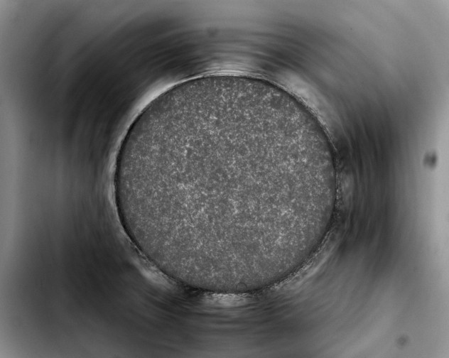 X0000103941427200810101406