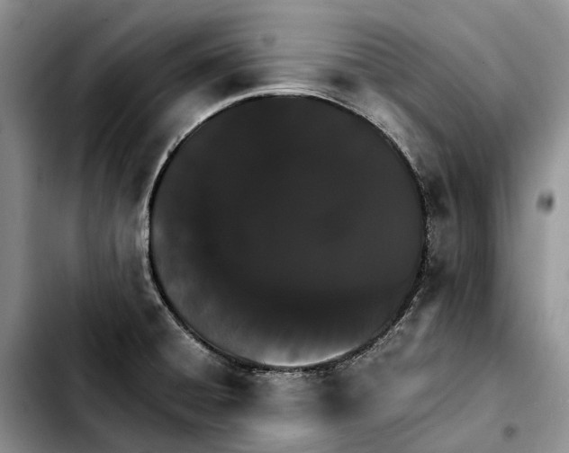 X0000103941428200810101406