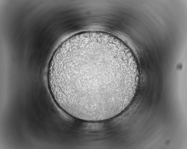 X0000103941429200810101406