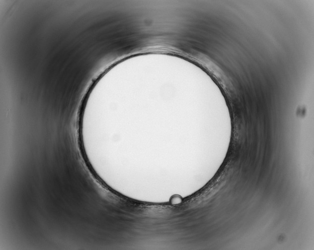 X0000103941430200810101406