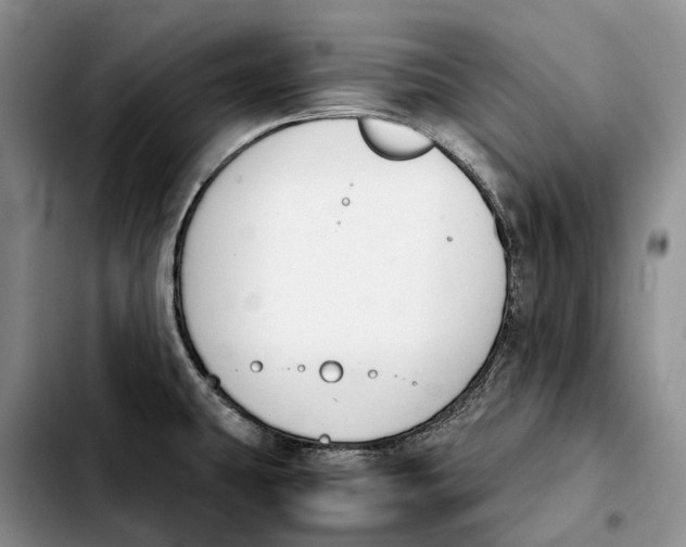 X0000103941431200810101406