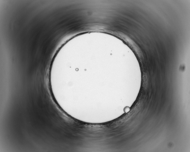 X0000103941432200810101406