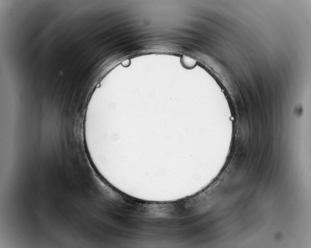 X0000103941433200810101406