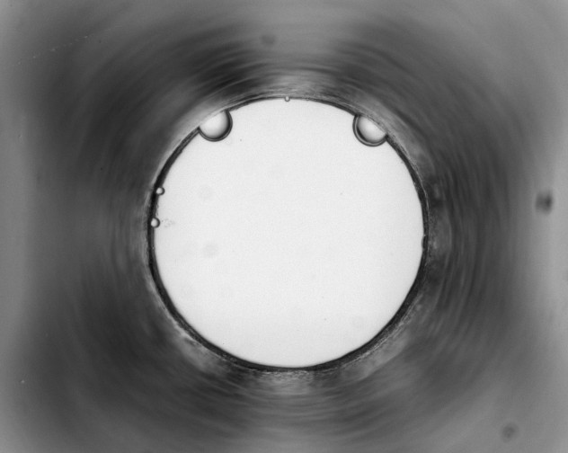 X0000103941434200810101406