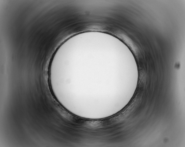 X0000103941435200810101406