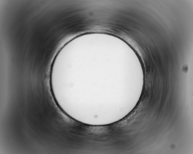 X0000103941437200810101406