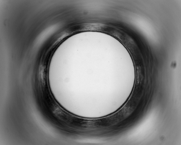 X0000103941438200810101406