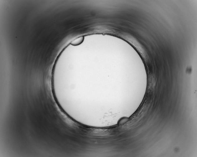 X0000103941439200810101406