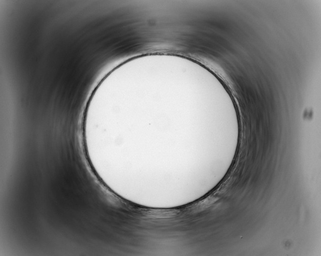 X0000103941440200810101406