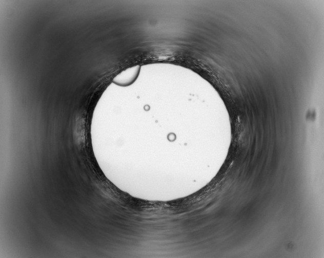 X0000103941442200810101405