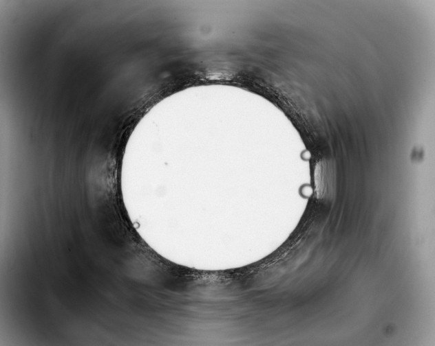 X0000103941443200810101405