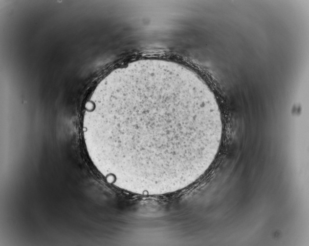 X0000103941445200810101405