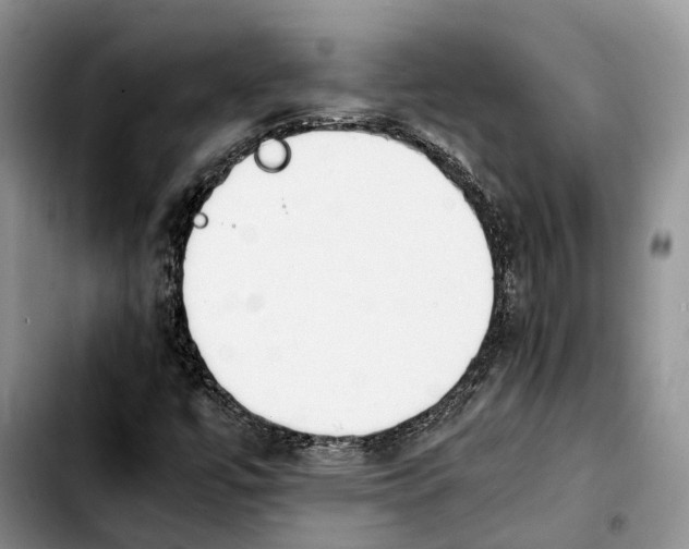 X0000103941447200810101405