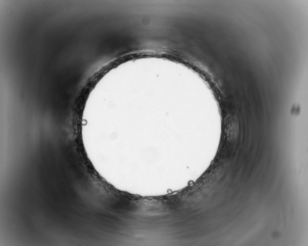 X0000103941448200810101405