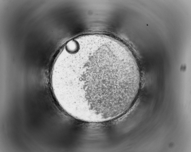 X0000103941449200810101405