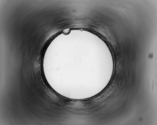 X0000103941450200810101405